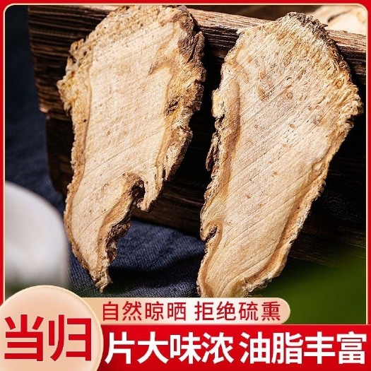 古田县当归批发正宗天然当归片养调生理煲汤中药材当归片