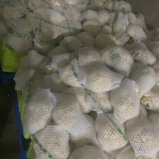 永登县精品散花 量大的老板联系