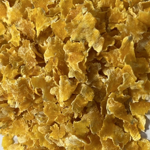 正定县压片玉米