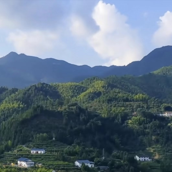 湖南炎陵黄桃等高山水果，香甜可口，价格合理