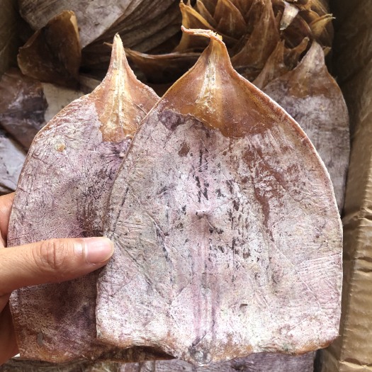 成都鱿鱼干 花