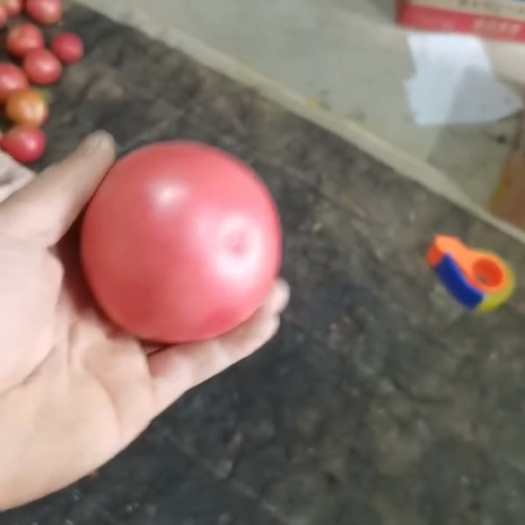 长子县果品好
