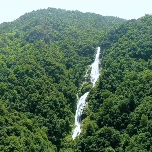 湖南炎陵黄桃等高山水果，香甜可口，价格优惠