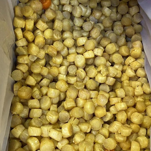 元贝280头大连干元贝精选瑶柱海味干货老人小孩辅食营养海味