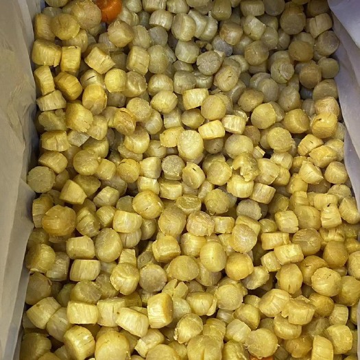 广州元贝280头大连干元贝精选瑶柱海味干货老人小孩辅食营养海味