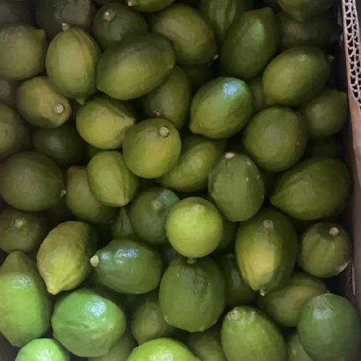 广州广东香水柠檬二级果