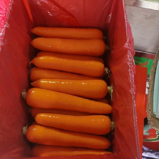 莱西市水洗胡萝卜