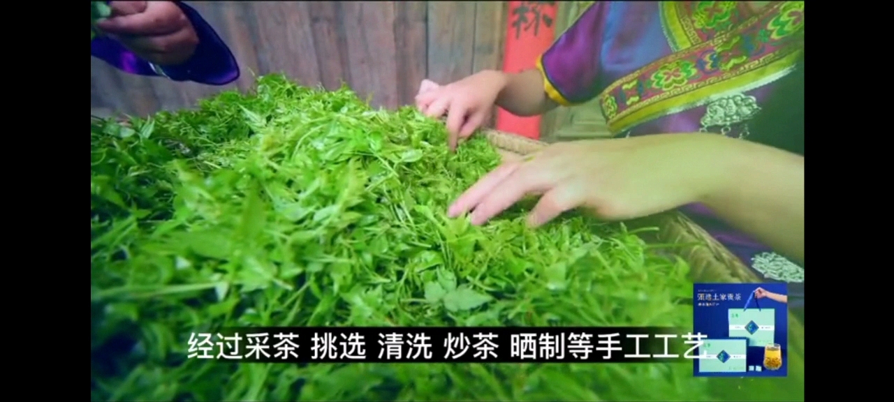 湘西永顺张家界排3以内清明高品质芽头莓茶（藤茶恩施富硒茶，