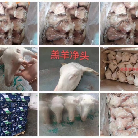 水退羊头，火烧羊头，规格齐全
