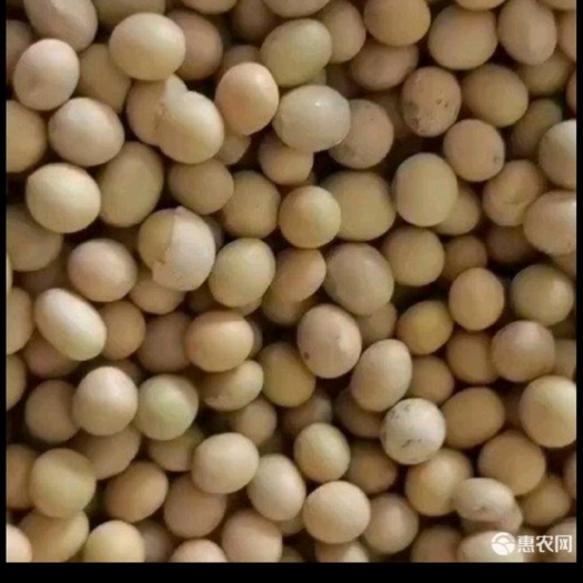 黑河现货