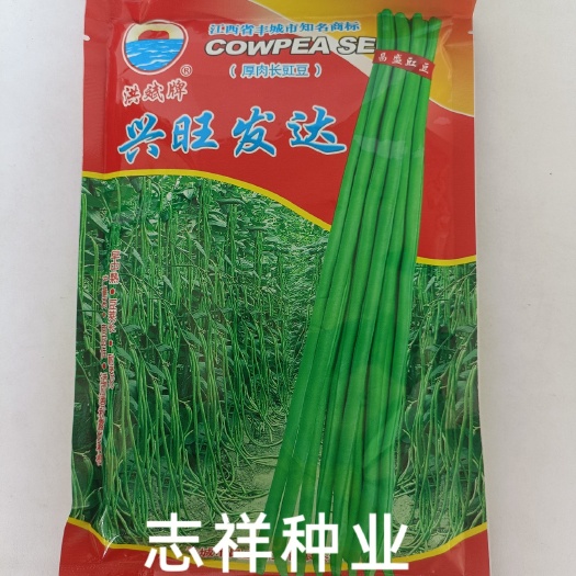 华容县洪斌牌兴旺发达厚肉型长豇豆种子翠绿色双荚率高春秋种豆角种耐热