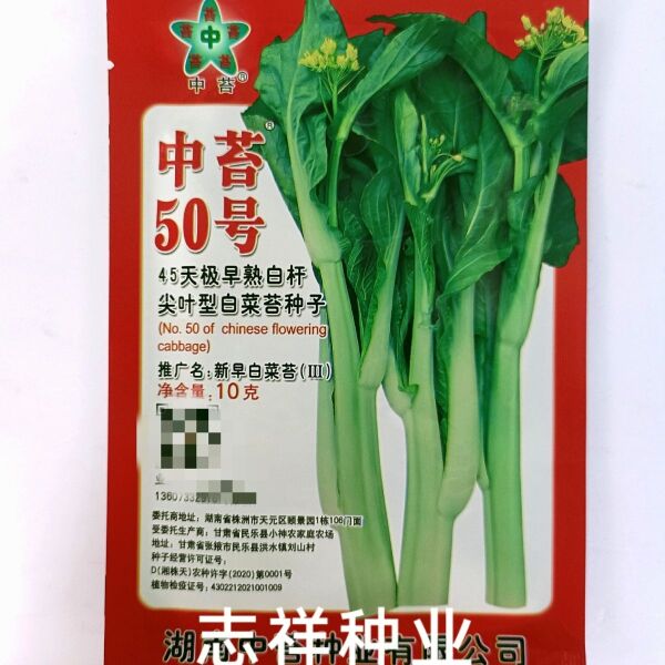 湖南中苔50号45天极早熟白杆尖叶白菜苔种子杂交抗病夏秋季播