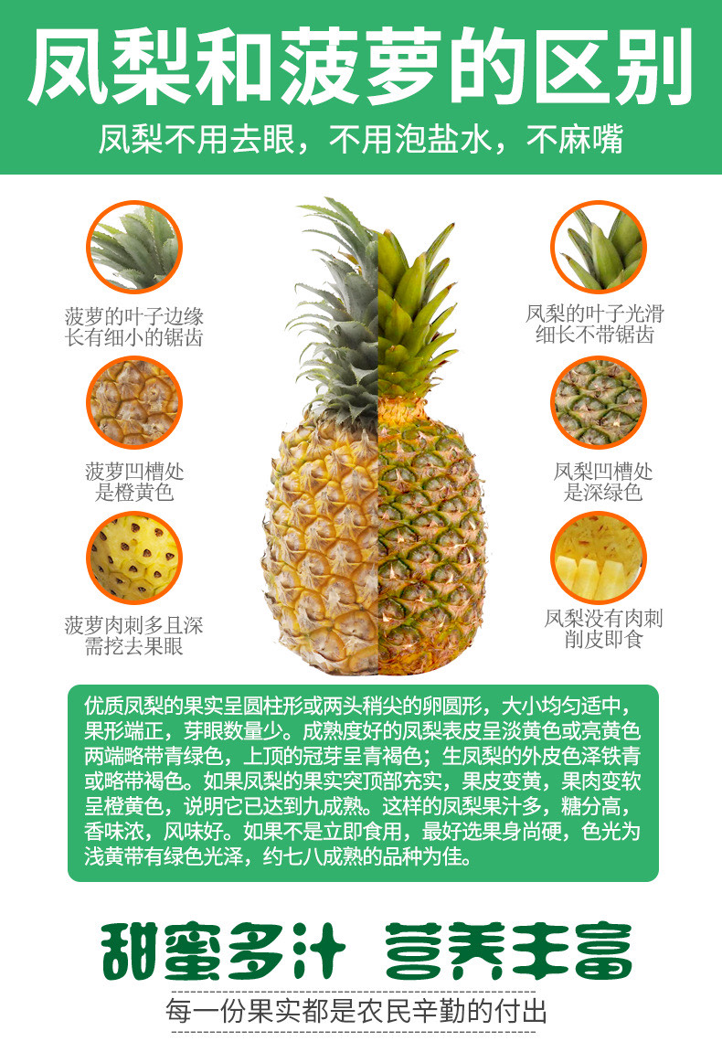 海南9斤金钻凤梨新鲜水果牛奶香水菠萝手撕无眼凤梨树熟大果包邮