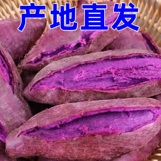 唐河县新鲜现挖紫薯软糯香甜今年新货紫罗兰香甜可口