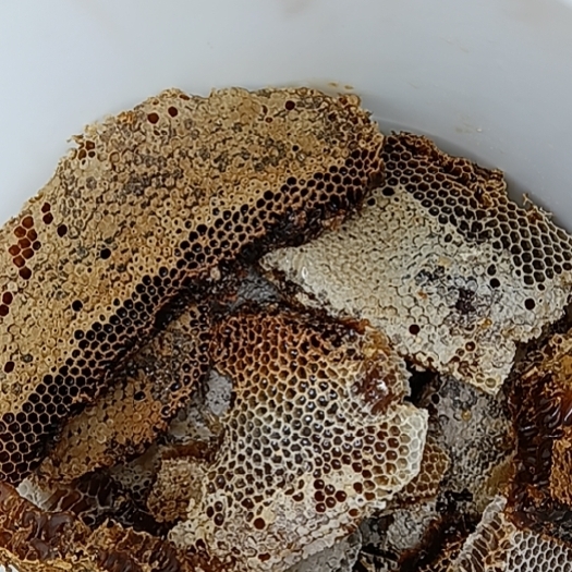 德昌县正宗野生土蜂蜜