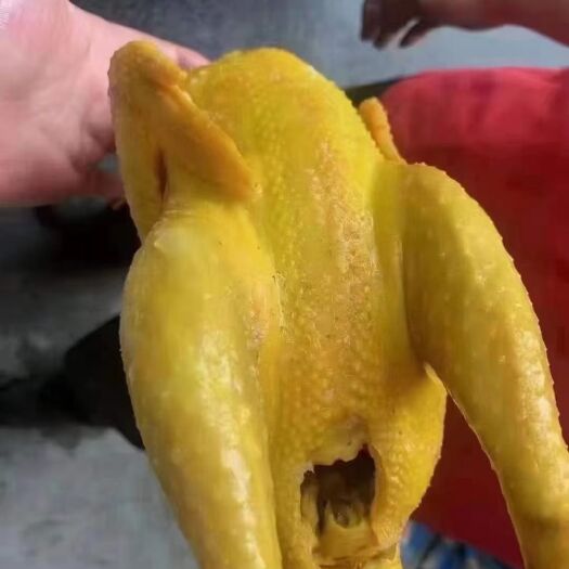 盐焗鸡  下单秒发