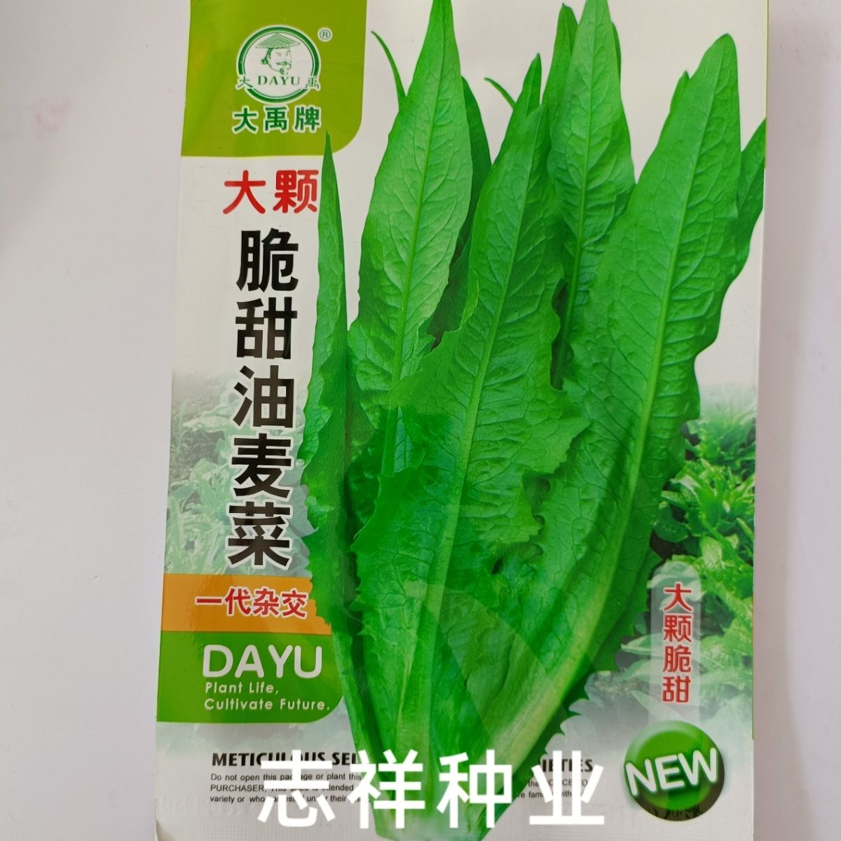 华容县大禹大颗脆甜油麦菜种子好吃香嫩油麦菜种四季速生蔬菜莴笋叶