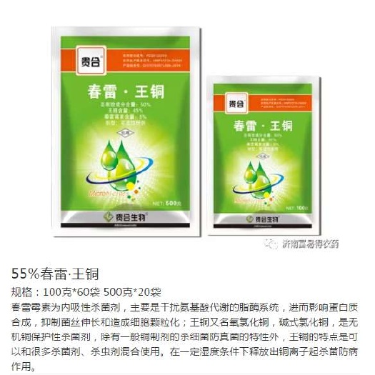 春雷王铜50％对作物上的各种细菌性病害有很好的防效混配性安全
