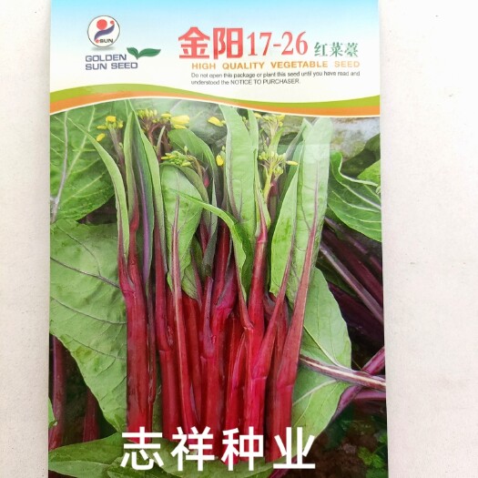 华容县武汉金阳红种苗金阳17-26红菜苔种子苔色鲜红有腊粉多芽耐寒