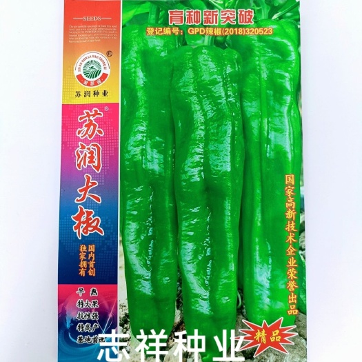 华容县苏润大椒早熟特大果粗长牛角椒种子杂交微辣皮薄灯笼辣椒基地种