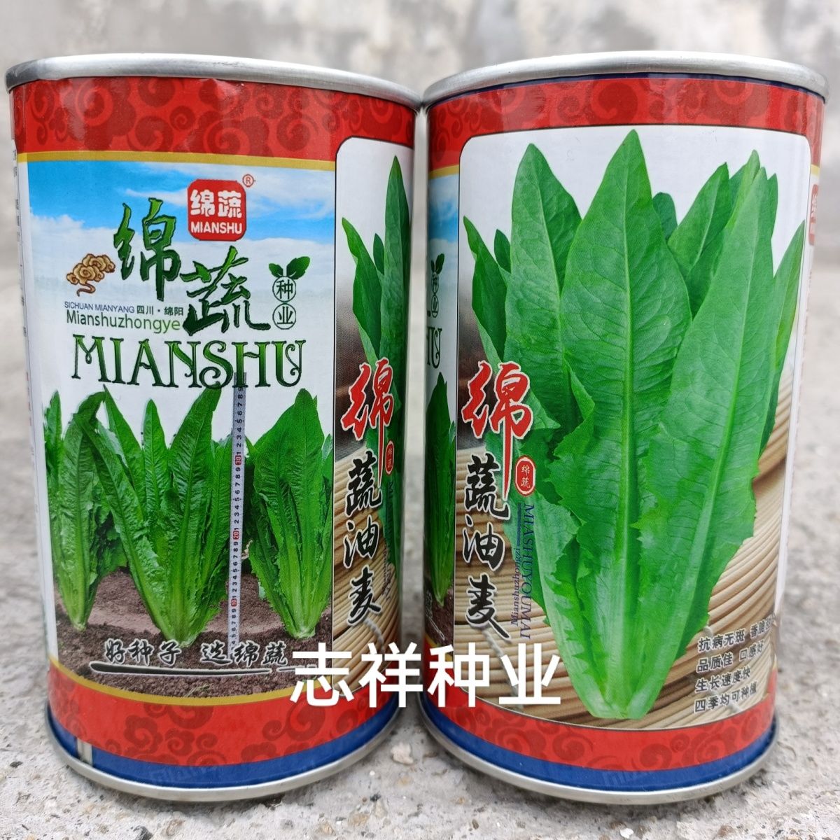 华容县绵蔬油麦菜种子四季大宽叶无斑油麦菜籽耐热早熟口感香脆嫩50克