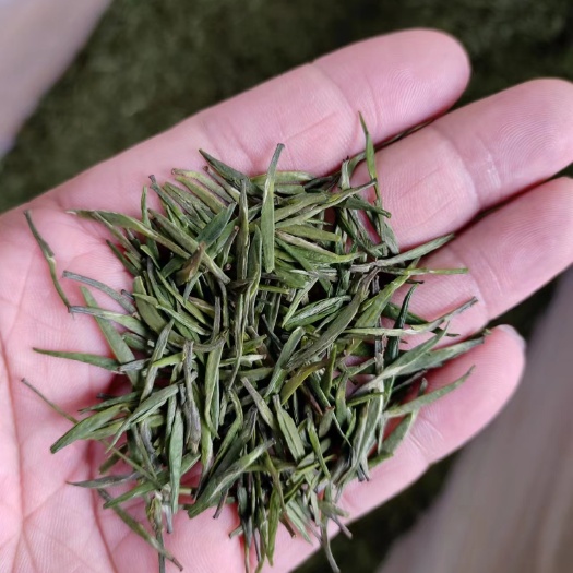 峨眉山市夏茶小扁竹叶青