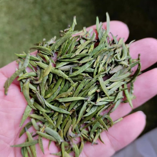 峨眉山市竹叶青早期春茶0元