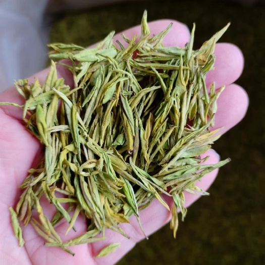 峨眉山市春茶奶白茶