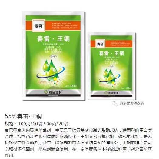 滨州春雷王铜50%内吸性杀菌剂对细菌性病害有很好的防效。