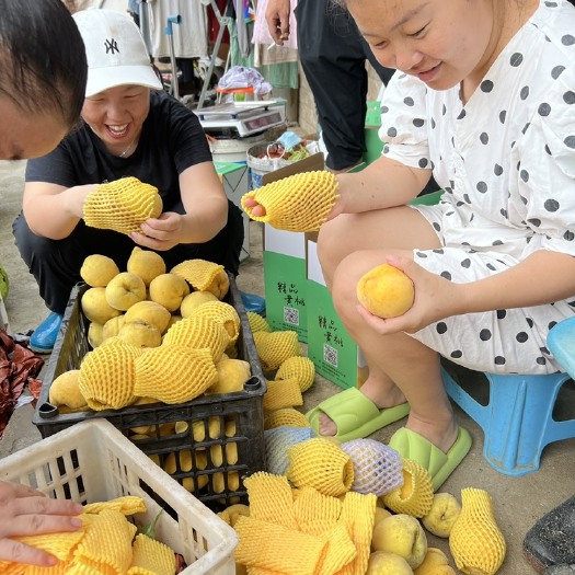 孝昌县湖北大黄桃