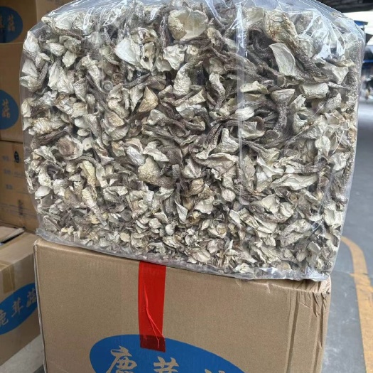 鹿茸菇 脆脆菇 一手货源 各种规格