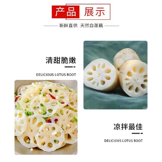 桓台县溜博马踏湖白莲藕尖，嫩藕，鲜藕。
