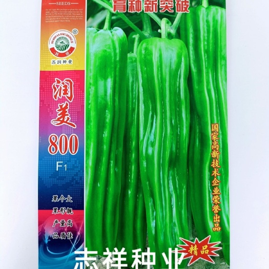 华容县苏润润美800大果薄皮椒种子微辣皮薄泡椒灯笼辣椒种籽1千粒