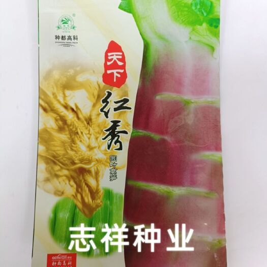 华容县四川种都高科天下红秀红皮莴笋种子圆叶莴笋香莴苣特耐寒口感香脆