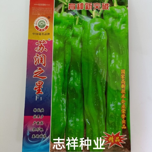 华容县苏润之星薄皮青椒种子 虎皮坚皱微辣辣椒种籽 大果泡椒春秋种