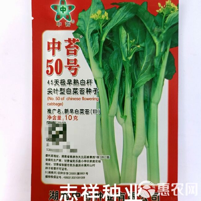 湖南中苔50号45天极早熟白杆尖叶白菜苔种子杂交抗病夏秋季播