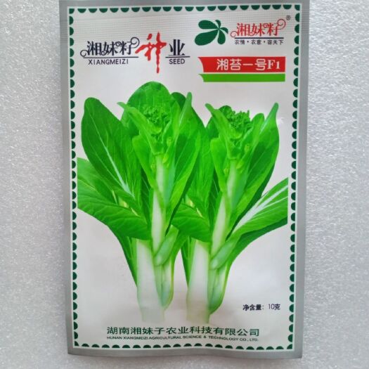 湘妹籽湘苔一号白菜苔种子F1 早熟耐高温品质佳10克大田种植