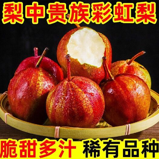 大荔县【脆甜无渣】陕西彩虹梨当季新鲜红皮脆梨现摘早酥梨