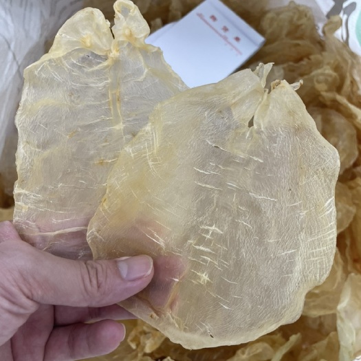普宁市精选40头甲肚