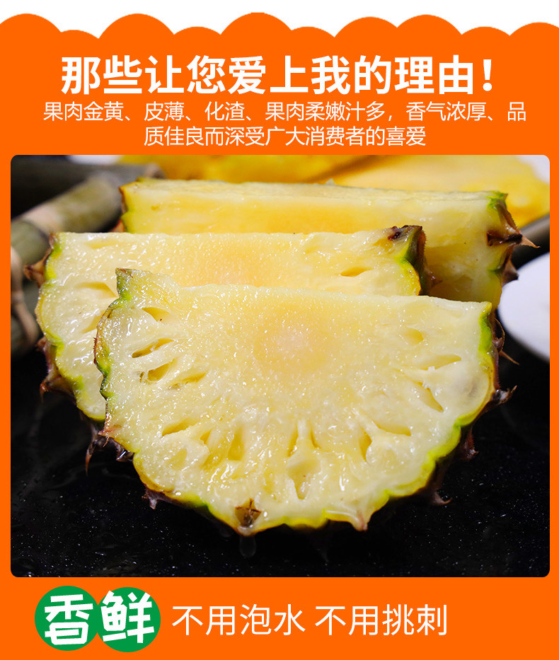 海南9斤金钻凤梨新鲜水果牛奶香水菠萝手撕无眼凤梨树熟大果包邮