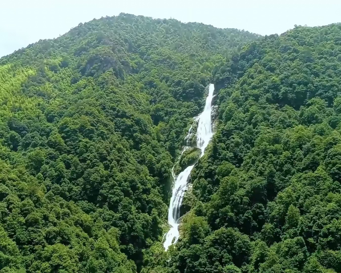 湖南炎陵黃桃等高山水果，香甜可口，好吃。