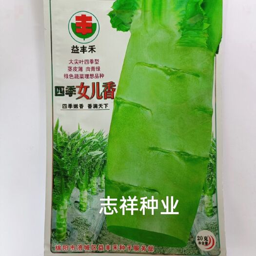 华容县四川益丰禾四季女儿香大尖叶莴笋种子早熟莴苣籽耐高温耐寒20克