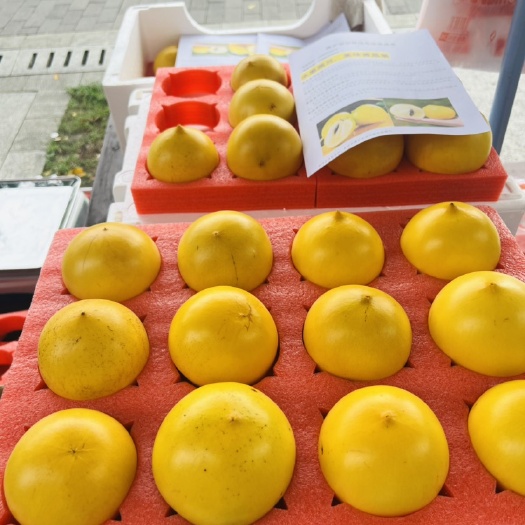 博罗县水果燕窝——黄晶果