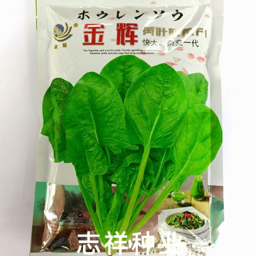 广东金冠黄叶菠菜种子杂交 快大大圆叶菠菜种籽耐热抗病产量高