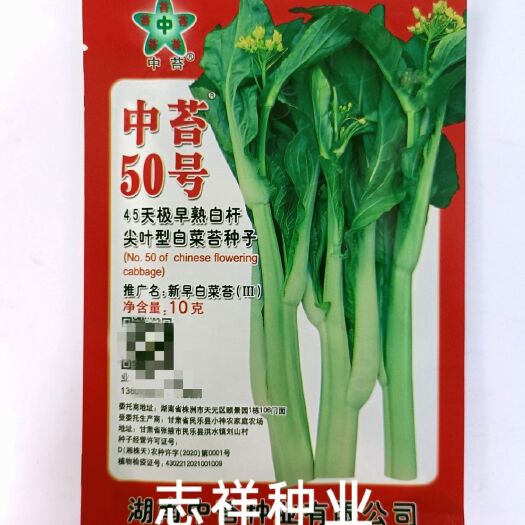 湖南中苔50号45天极早熟白杆尖叶白菜苔种子杂交抗病夏秋季播