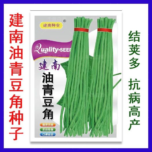 东莞市建南油青豆角种子特长豇豆种籽抗病豆角种大田春秋季蔬菜种孑