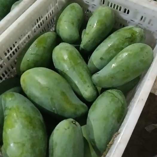 南宁云南大青芒