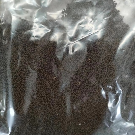 上海南美对虾饲料