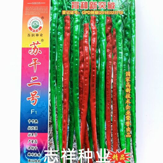 华容县苏润苏干二号长线椒种子杂交中早熟香辣青红两用干辣椒产量高