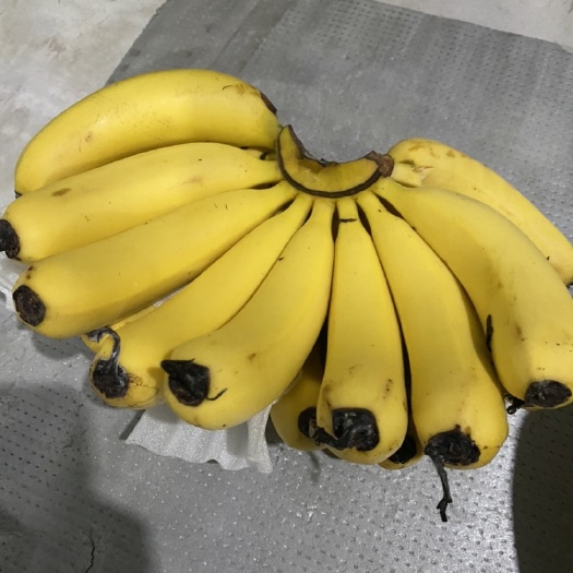香蕉批发